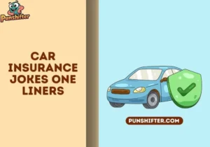 car insurance jokes one liners