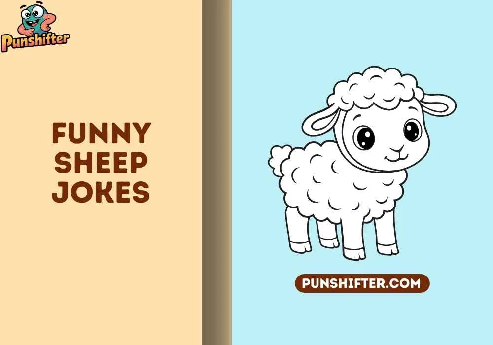 funny sheep jokes