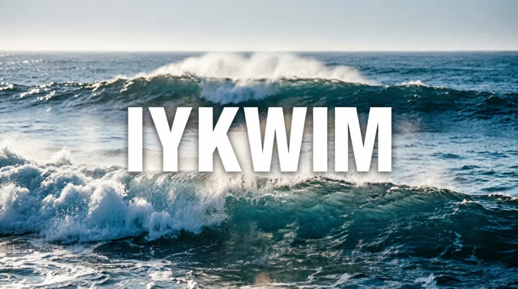 What Does IYKWIM Mean?