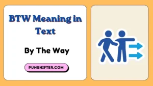 BTW Meaning in Text