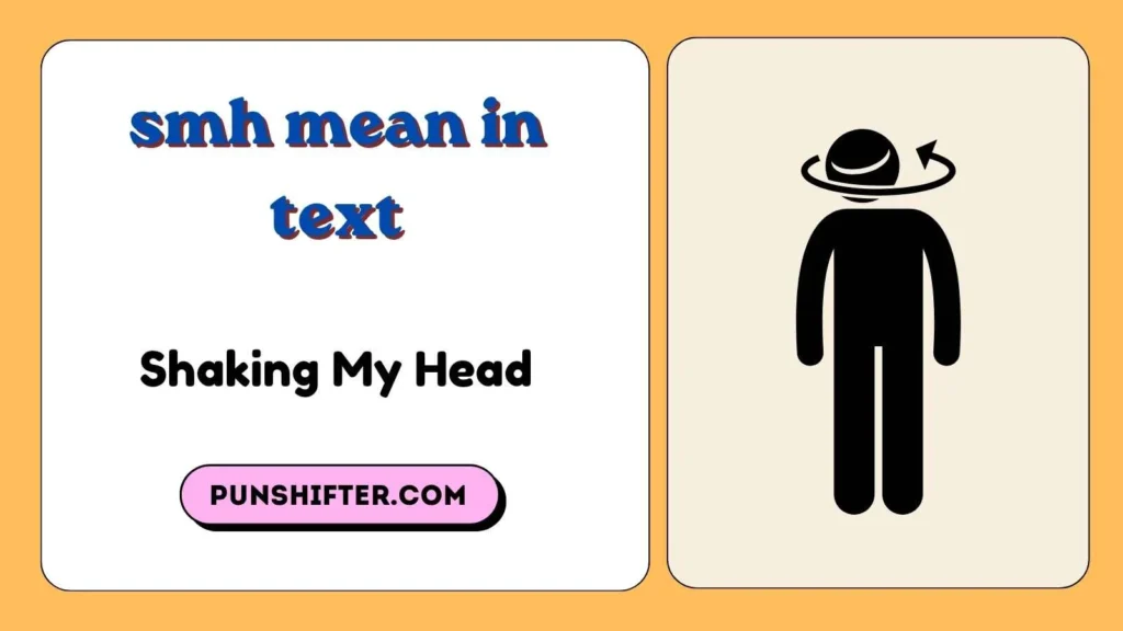 smh mean in text