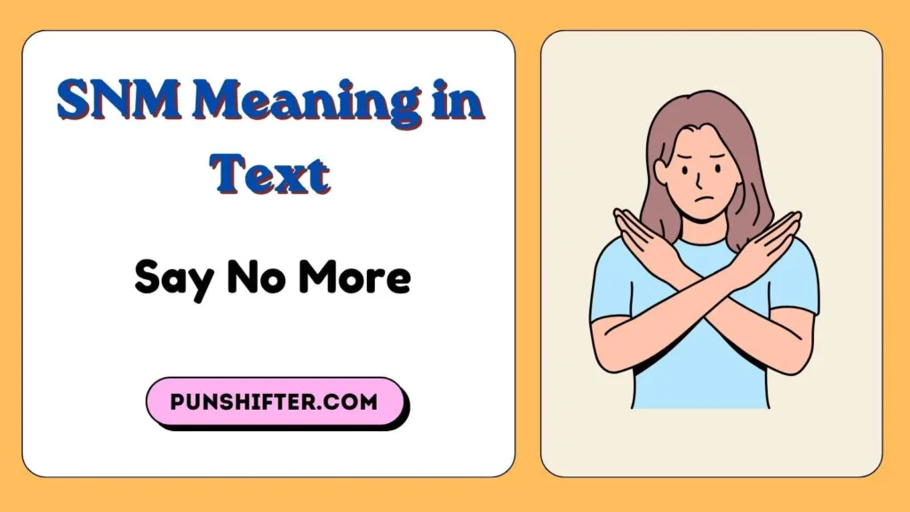 SNM Meaning in Text