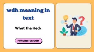 wdh meaning in text