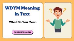 WDYM Meaning in Text