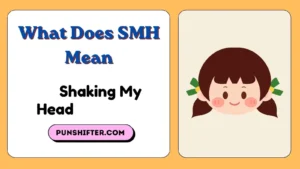 What Does SMH Mean