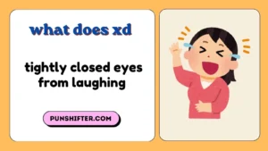 what does xd