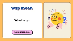 wsp mean