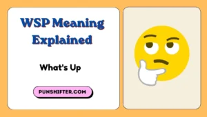 WSP Meaning Explained