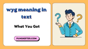 wyg meaning in text